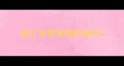 松江可带宠物的酒店