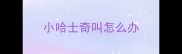 小哈士奇叫怎么办