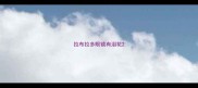 拉布拉多眼镜有泪花