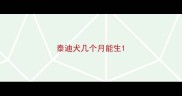 泰迪犬几个月能生