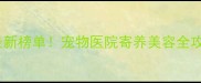 青岛宠物店最新榜单宠物医院寄养美容全攻略必看