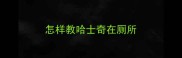 怎样教哈士奇在厕所