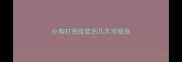 小狗打完疫苗后几天可驱虫