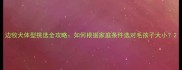 边牧犬体型挑选全攻略如何根据家庭条件选对毛孩子大小
