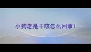 小狗老是干咳怎么回事