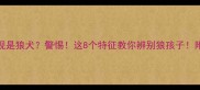 养宠物狗发现是狼犬警惕这8个特征教你辨别狼孩子附养狼犬全攻略