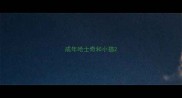 成年哈士奇和小猫