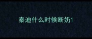 泰迪什么时候断奶