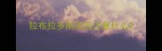 拉布拉多刚买回注意什么
