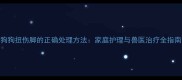 狗狗扭伤脚的正确处理方法家庭护理与兽医治疗全指南