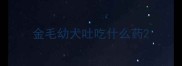 金毛幼犬吐吃什么药