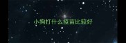 小狗打什么疫苗比较好