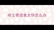 哈士奇进食太快怎么办