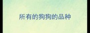 所有的狗狗的品种
