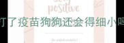 打了疫苗狗狗还会得细小吗