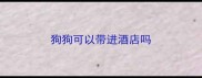 狗狗可以带进酒店吗