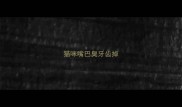 猫咪嘴巴臭牙齿掉