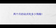 两个月的幼犬吃多少狗粮