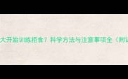 泰迪幼犬多大开始训练拒食科学方法与注意事项全附训练步骤
