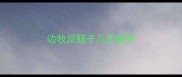 边牧反肠子几天能好