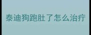 泰迪狗跑肚了怎么治疔