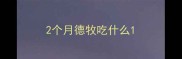 2个月德牧吃什么