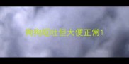 狗狗呕吐但大便正常