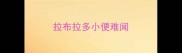拉布拉多小便难闻