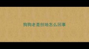 狗狗老是刨地怎么回事