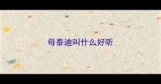 母泰迪叫什么好听