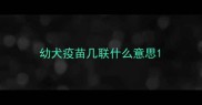 幼犬疫苗几联什么意思
