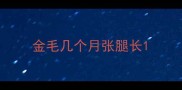 金毛几个月张腿长