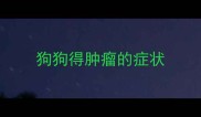 狗狗得肿瘤的症状