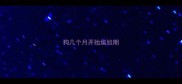 狗几个月开始尴尬期