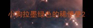 小狗拉墨绿色的稀便便