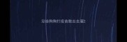 没给狗狗打疫苗敢出去溜