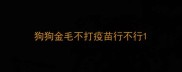 狗狗金毛不打疫苗行不行