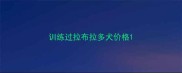 训练过拉布拉多犬价格