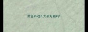 黑色泰迪长大后好看吗