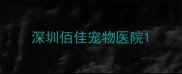 深圳佰佳宠物医院