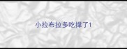 小拉布拉多吃撑了