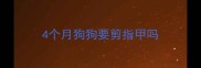 4个月狗狗要剪指甲吗