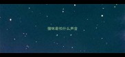 猫咪最怕什么声音