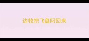 边牧把飞盘叼回来