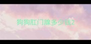 狗狗肛门腺多少钱