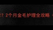 幼犬体温多少正常2个月金毛护理全攻略附体温测量方法