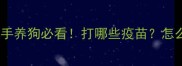 狗狗疫苗全攻略新手养狗必看打哪些疫苗怎么打时间表全公开