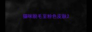 猫咪脱毛至粉色皮肤