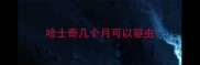 哈士奇几个月可以驱虫