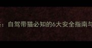 猫咪坐车全攻略自驾带猫必知的6大安全指南与必备用品清单